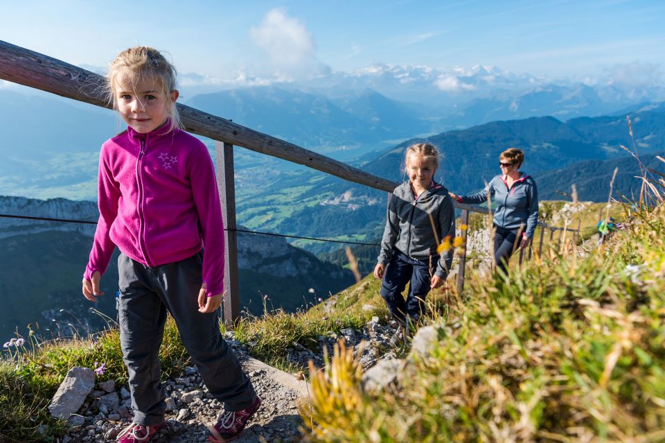 From Lucerne: Mt. Pilatus Gondola, Cable Car, and Boat Trip - Transportation Modes