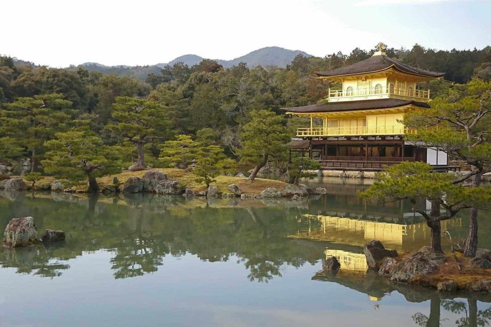 From Osaka: Fushimi Inari Shrine, Kyoto, and Nara Day Trip - Nara Park