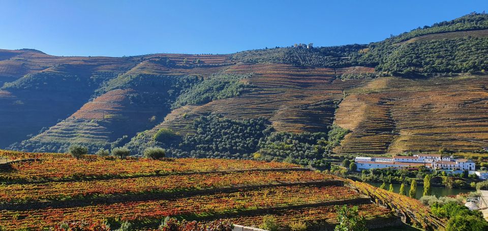 From Porto Private Wine Tour Tasting, Train and Vinho Verde - Douro Region Wines