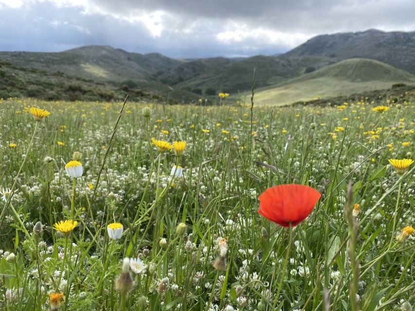 From Rethymno: Eleven Gates Hike on The Shepherds Path - Local Culture and Cuisine