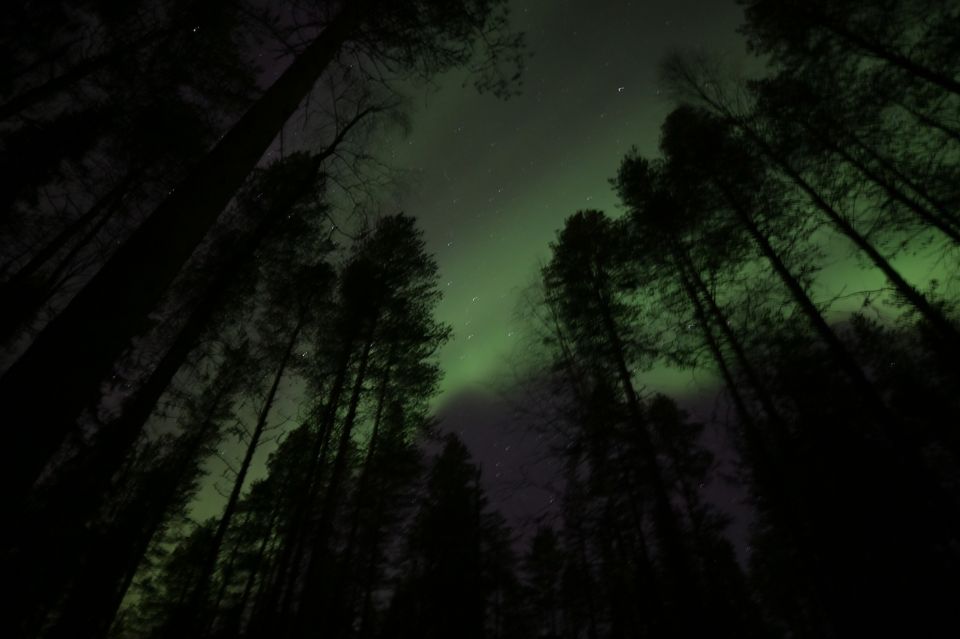 From Rovaniemi: Northern Lights Experience With Campfire - Restrictions