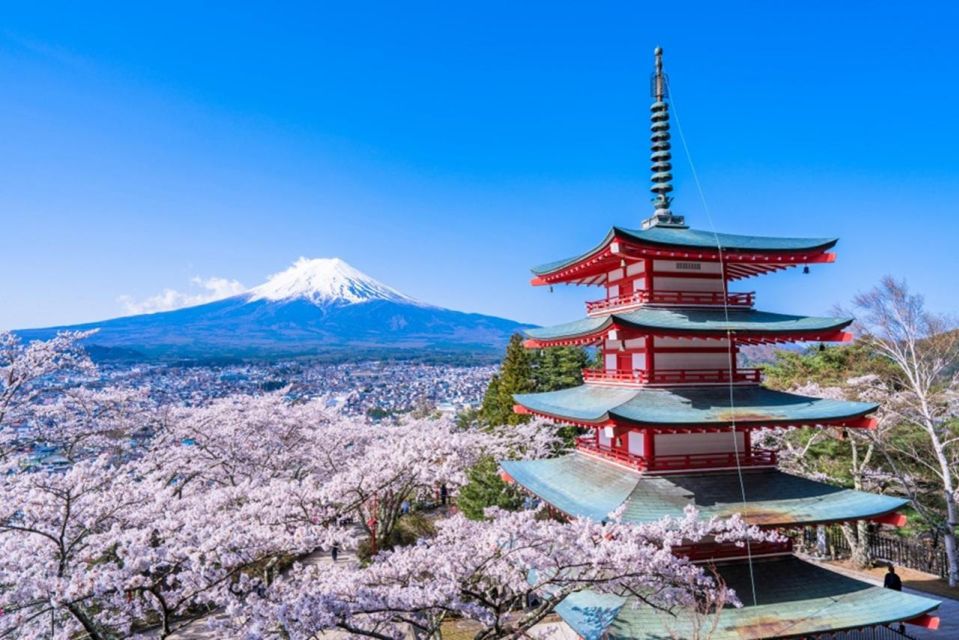 From Tokyo: Mount Fuji Day Trip With Yamanakako Hot Springs - Customer Ratings and Feedback