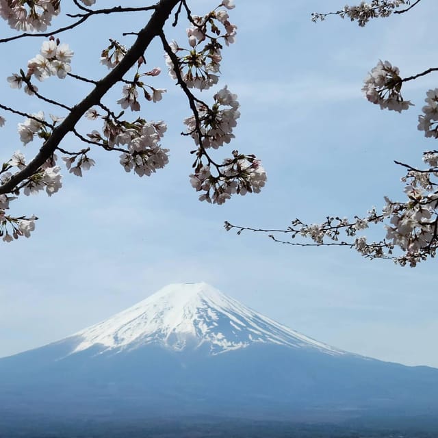 From Tokyo: Mt Fuji and Lake Kawaguchiko Private Day Trip - Transportation and Accessibility