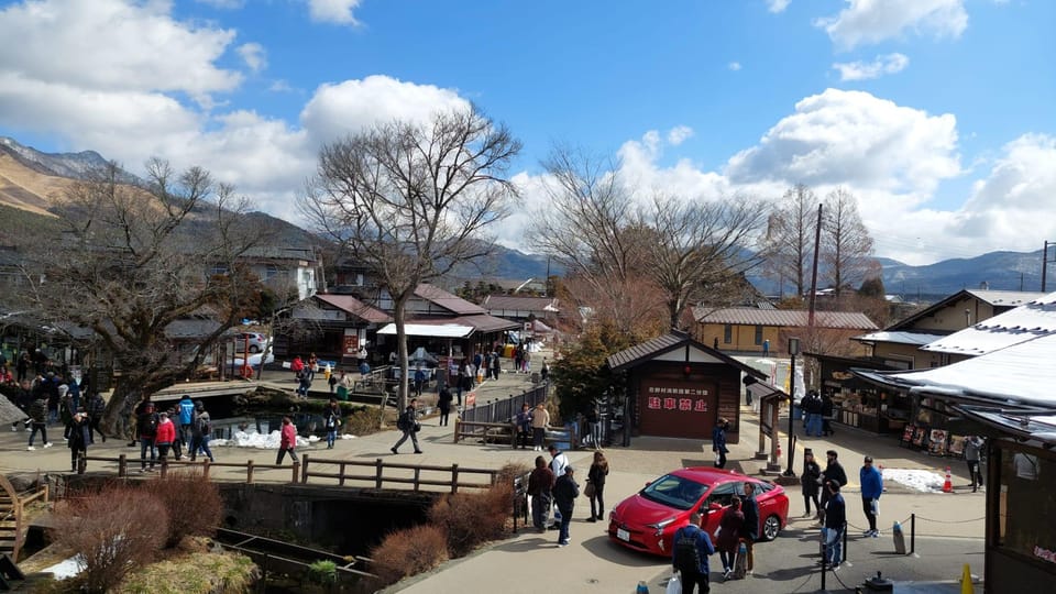 From Tokyo: Mt. Fuji or Hakone Sightseeing Private Day Tour - Customer Reviews and Ratings