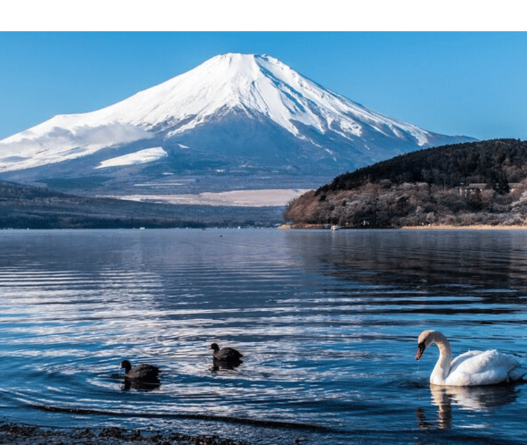 From Tokyo: Mt Fuji Private Day Tour In Land Cruiser ZX - Booking and Payment Details