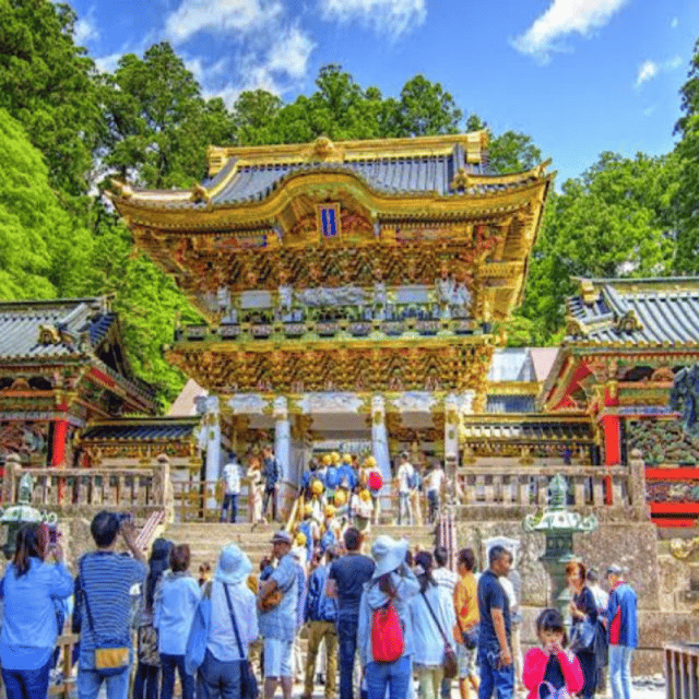 From Tokyo: Nikko Sightseeing Private Day Tour English Guide - Transportation Options