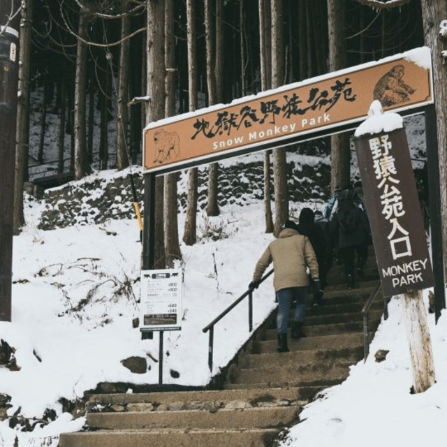 From Tokyo: Snow Monkey Park & Zenko-ji Temple Private Tour - Language Options and Accessibility