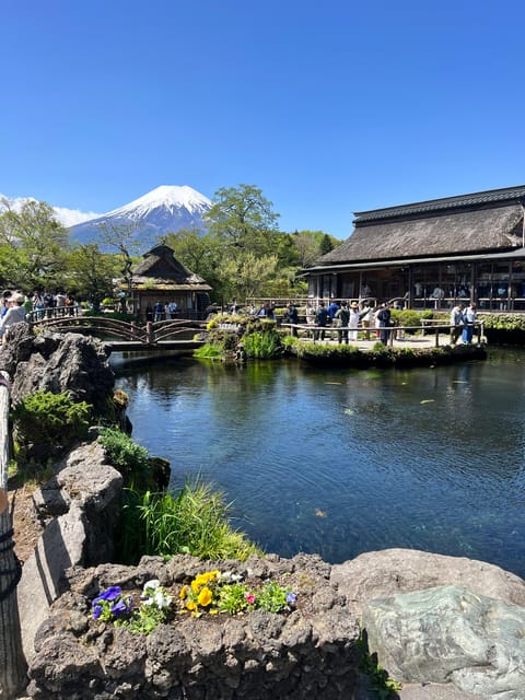 From Tokyo/Yokohama: Private Day Trip to Mt Fuji and Hakone - Tour Guide and Accessibility