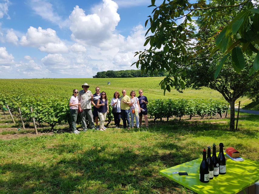 From Tours: Villandry, Azay-le-Rideau & Vouvray Winery - Wine Tasting Experience