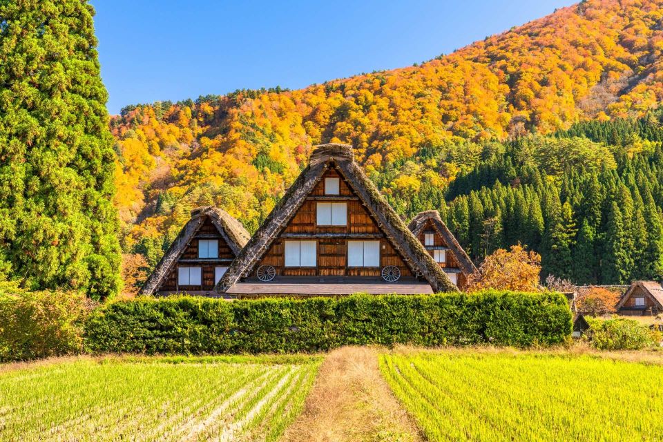 From Toyama: Private Day Tour to Shirakawago & Takayama - Customer Feedback