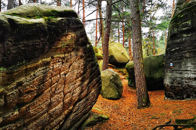 Full-Day Hiking in Bohemian Paradise Malá Skála Near Prague - Accessibility and Participation