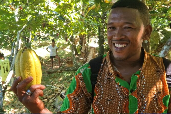 Full-Day Jungle Trek on Nosy Komba (Lemur Island) With the Black Lemur Sanctuary - Physical Fitness Level