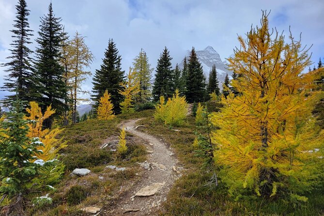 Full-Day Larch Hike, Departure From Banff - Confirmation and Additional Information