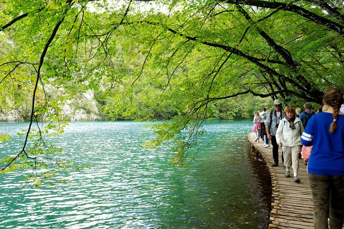 Full-Day Private Plitvice Lakes National Park Tour From Split - Reviews and Feedback