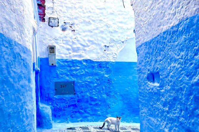 Full-Day Trip Akchour Waterfalls and Chefchaouen - Included Amenities