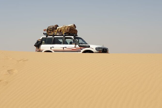 Full Private Day Safari to White & Black Desert Oasis From Cairo - Reviews and Ratings