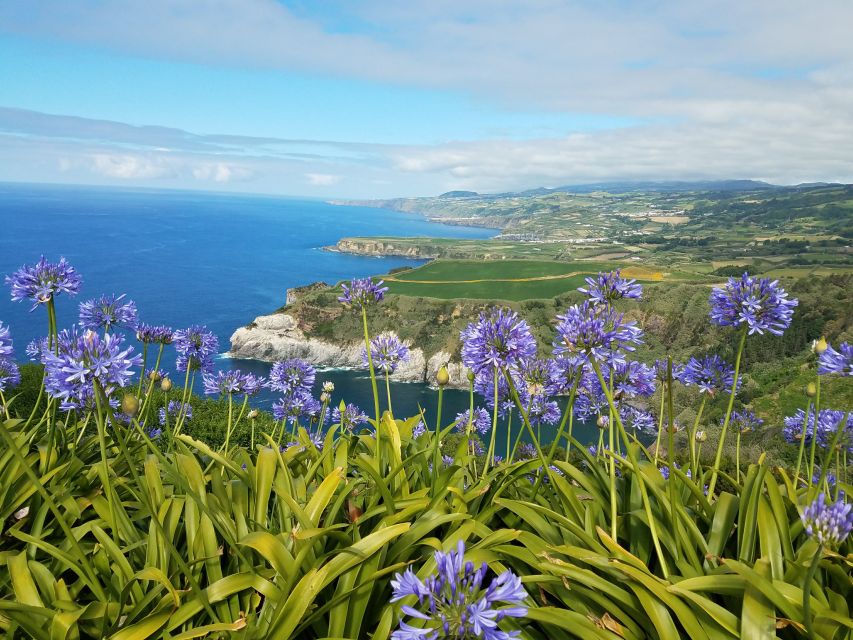 Furnas - Full Day Tour - Exclusions