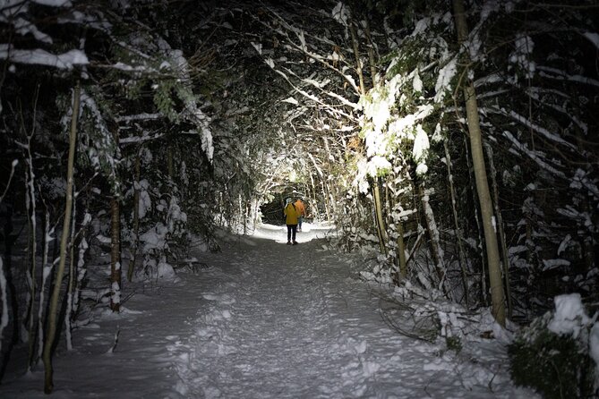 Gatineau Park Nocturnal Snowshoeing Adventure & Dinner - From Ottawa & Gatineau - Participant Reviews