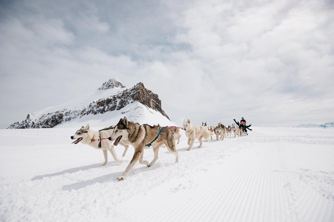 Glacier 3000 Ticket Including Cable Car and Peak Walk by Tissot - Accessibility and Conditions