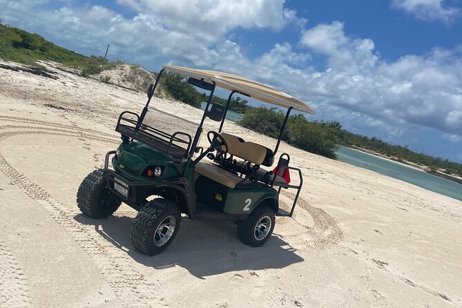 Grand Turk Golf Cart Rentals (Cactus Carts) - Accessibility and Participation