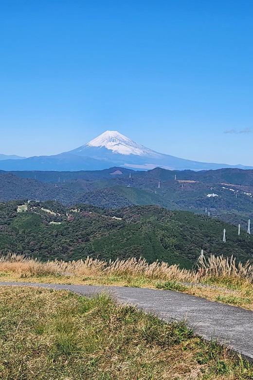 Hakone Private Day Tour With English Speaking Driver - Tour Inclusions