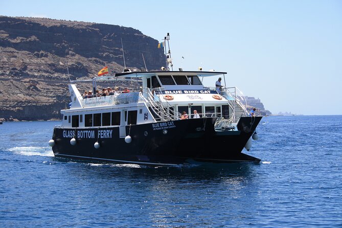 Half-Day Cruise Tour-Dolphin and Whale Watching - Cancellation Policy