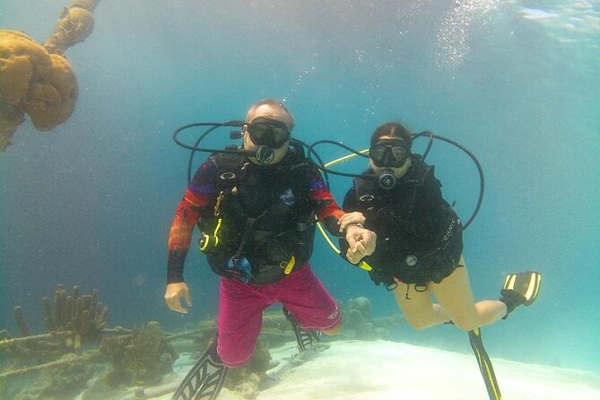 Half Day Diving Adventure With Transportation Included - Booking and Cancellation Policy