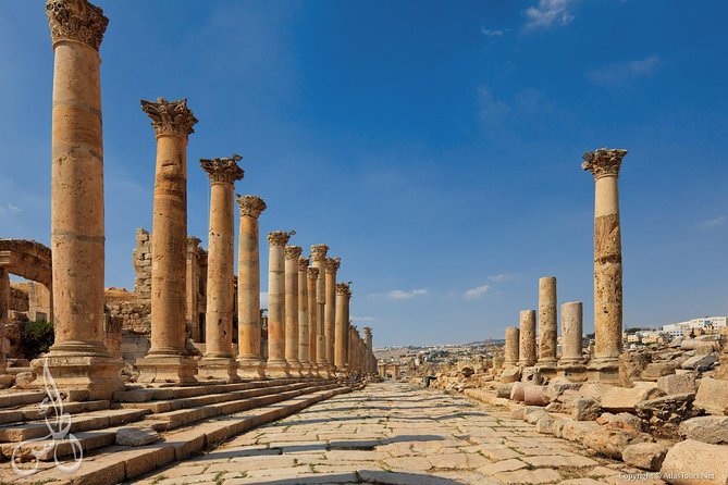 Half Day Tour to Jerash From Amman - Accessibility and Comfort