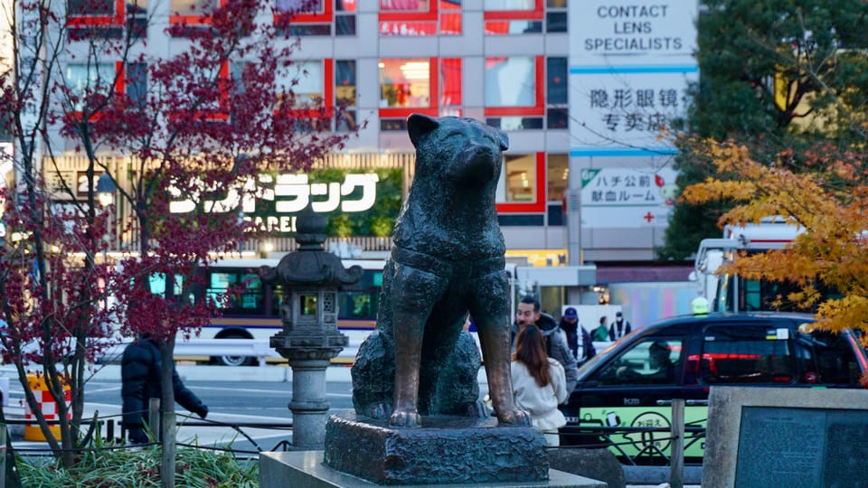 Harajuku From Meiji Shrine to Shibuya Crossing 2 Hours - Inclusions