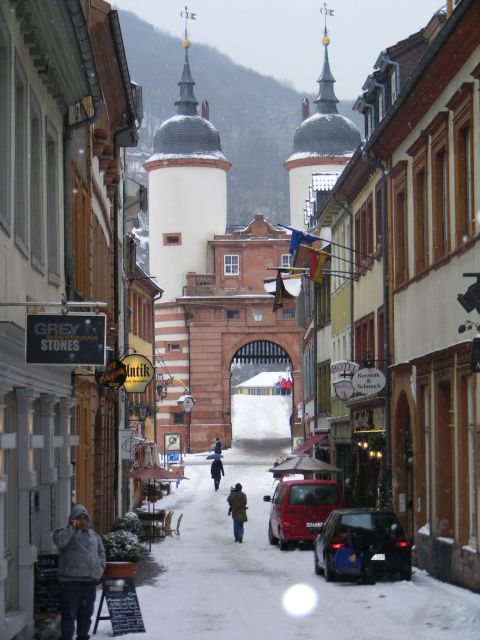 Heidelberg: 2-Hour Crime Tour With Costumed Guide - Exploring Main Sights