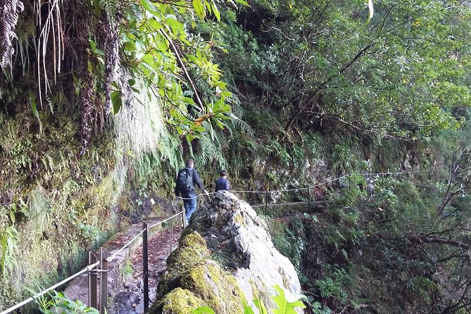 Hike in Laurisilva Levada Do Rei - Madre of Life Small Group Guided Walk - Meeting and Pickup