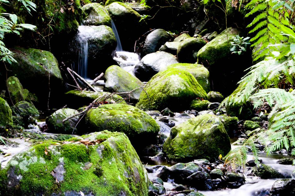 Hiking Levadas of Madeira: Levada Do Rei - Participant Experience and Reviews