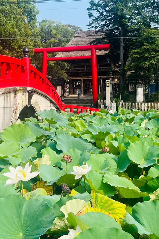 Hitoyoshi Tour Review: A Hidden Gem - Aoi Aso Shrine