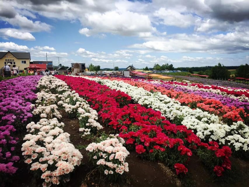 Hokkaido: Flower Sea, Pastoral, and Natural Scenery Day Tour - Experience and Amenities