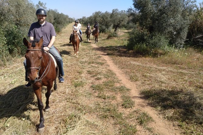 Horse Riding Excursion From Seville - Cancellation Policy