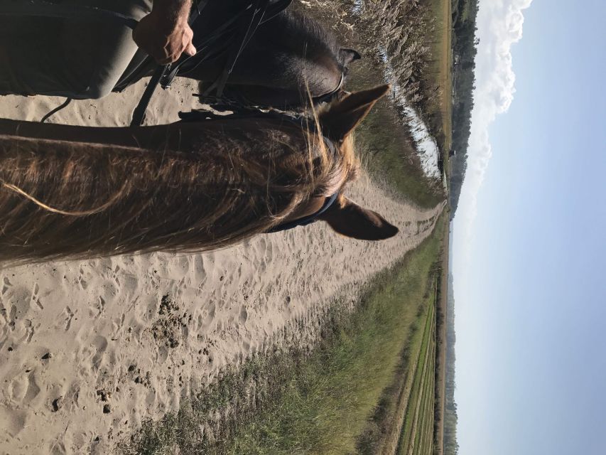 Horse Riding on the Beach With Private Transfer From Lisbon - Tour Departure and Duration