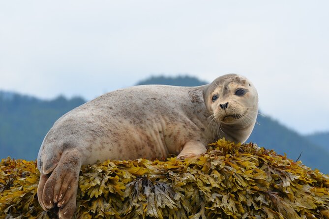 Howe Sound Sea Safari Cruise - Confirmation and Booking Process