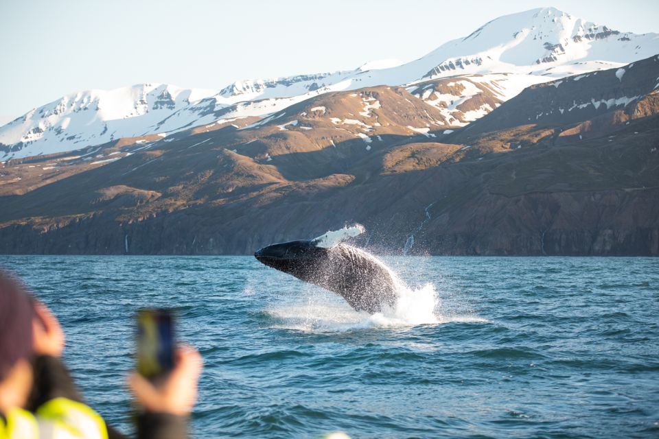 Húsavík: Whale Watching on a Carbon Neutral Oak Boat - Carbon Neutral Propulsion