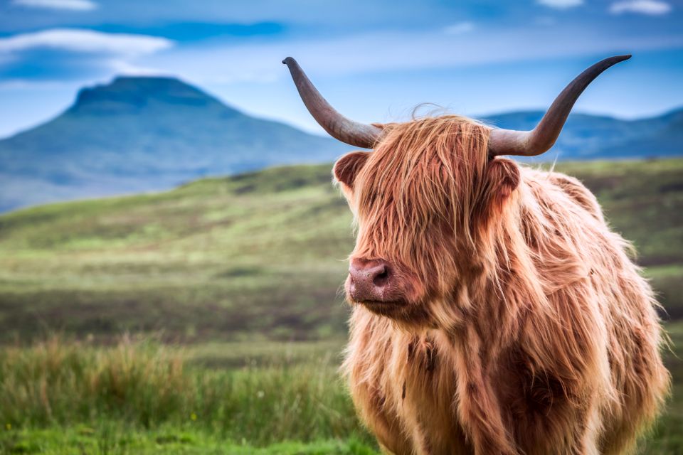 Inverness: Isle of Skye and Eilean Donan Castle Day Trip - Exploring Portree Town