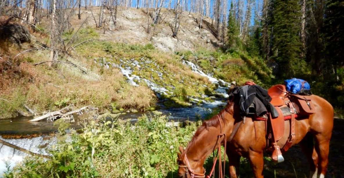 Jackson Hole: Dinner Cookout & Bridger-Teton Horseback Ride - Handling Horses for Beginners