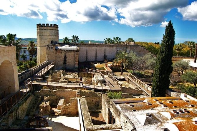 Jerez Walking Tour With Alcazar and Cathedral Entrance - Cancellation Policy and Accessibility