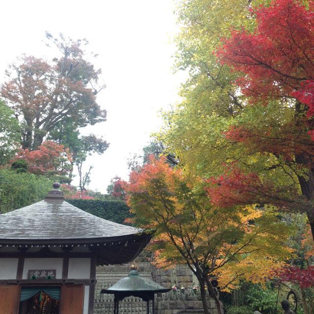 Kamakura: Great Buddha, Hase Temple, & Komachi Street Tour - Included in the Tour