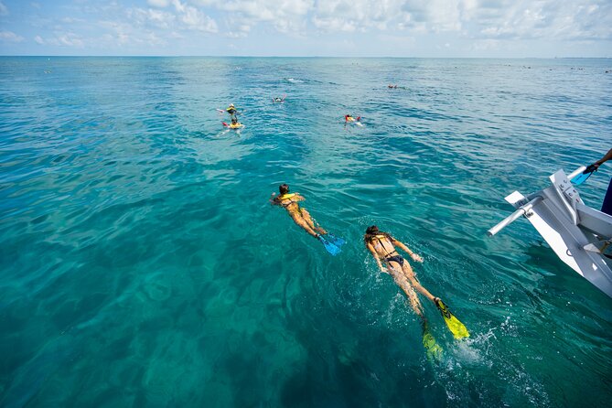 Key West Full-Day Island Ting Eco-Tour: Sail, Kayak and Snorkel - Dietary Options