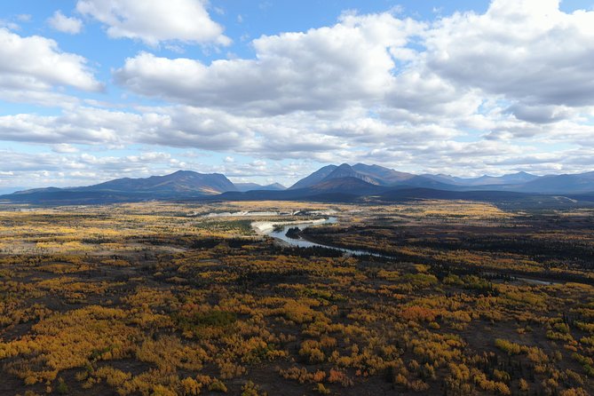 KLUANE NATIONAL PARK - Day-Trip From Whitehorse - Traveler Reviews and Accessibility