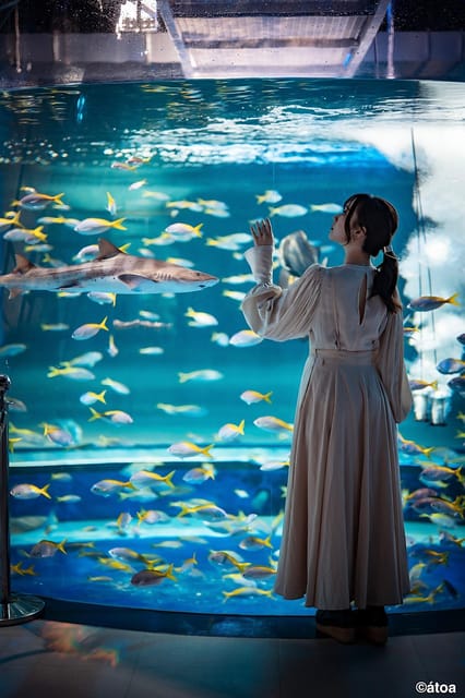 Kobe Urban Aquarium Aquarium×art Átoa Admission Ticket - Visitor Guidelines