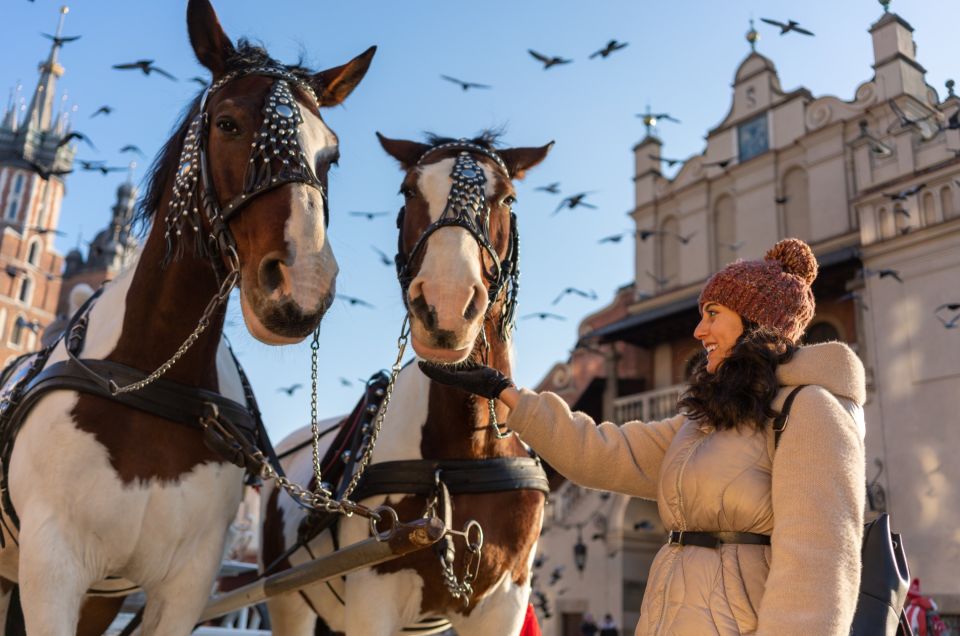 Krakow_ Old Town and National Museum Private Guided Tour - Tour Experience