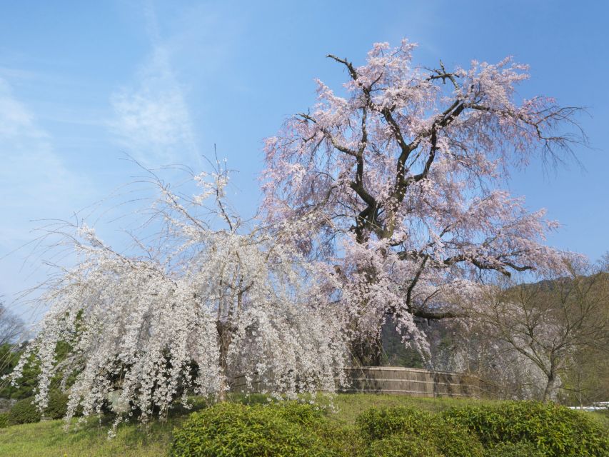 Kyoto: Private 2.5 Hour Historical Walking Tour - Ishibe-koji Street