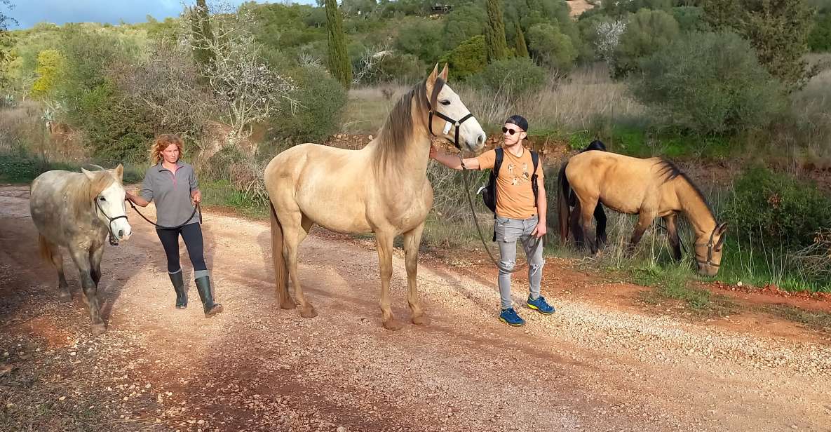 Lagos: a Walk With a Rescued Horse at the Sanctuary - Meeting Point and Directions