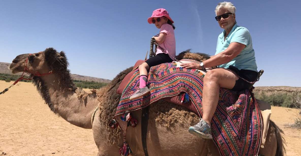 Las Vegas: Desert Camel Ride - Interaction With Friendly Animals