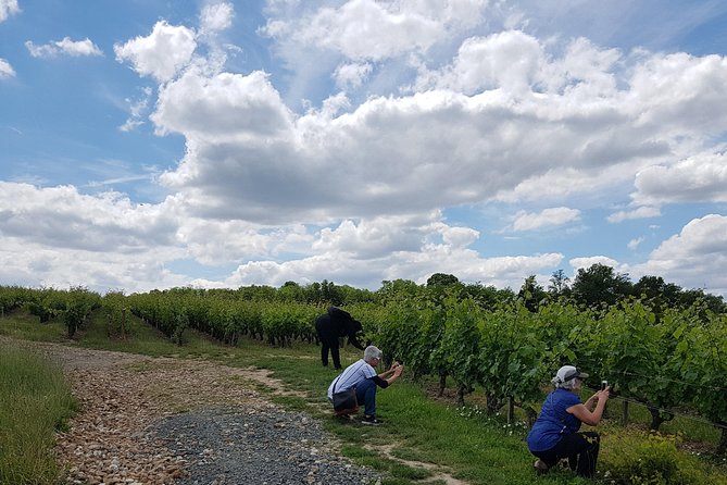 Loire Valley Half Day Wine Tour From Tours : Vouvray Wine Tasting - Duration and Group Size